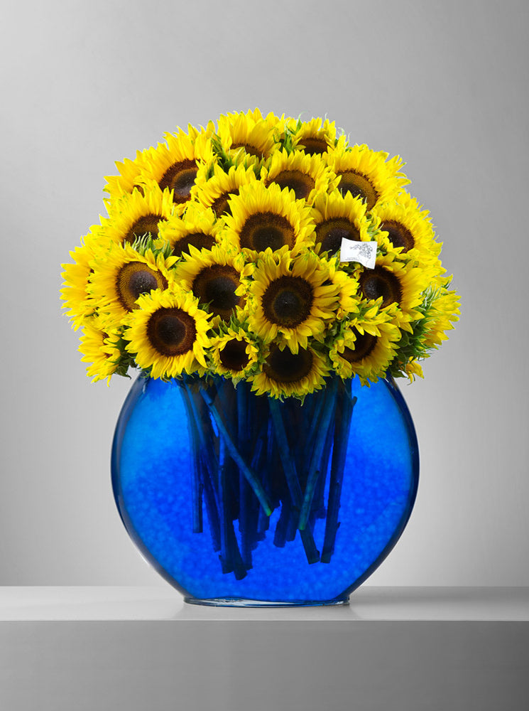 Blooms in Jelly - Blue
