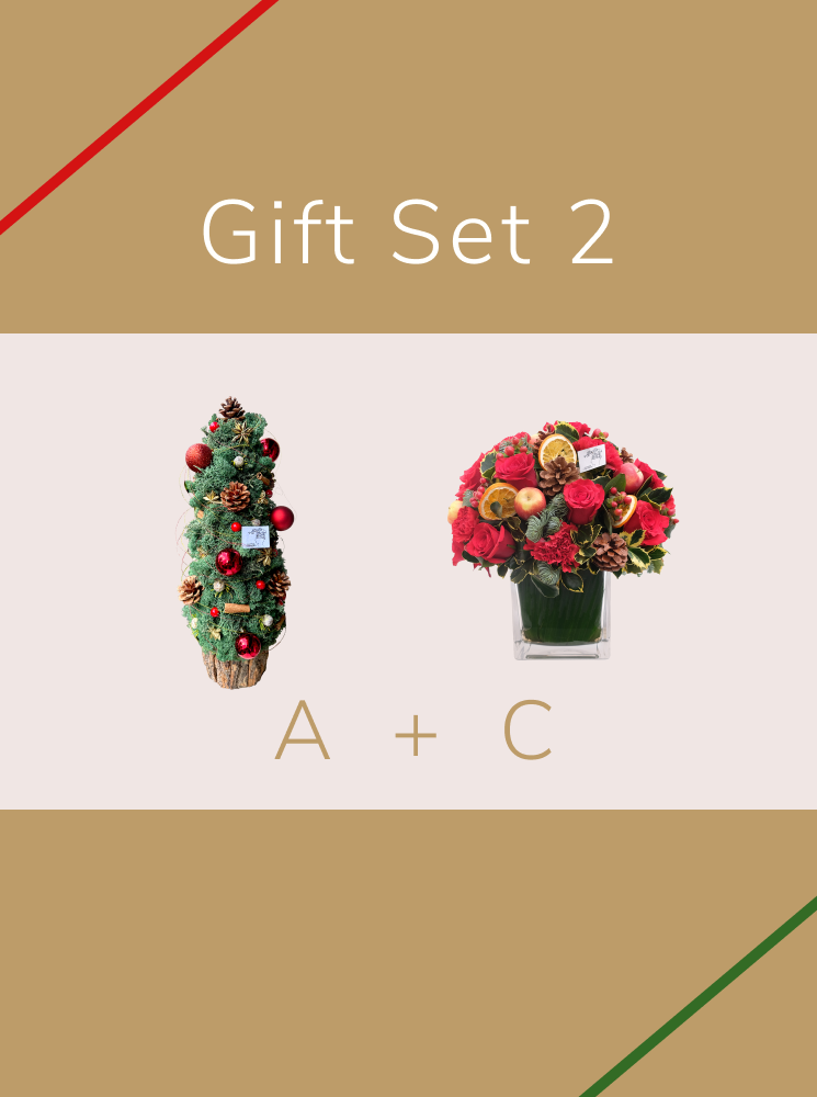 Christmas Gift - Set 2