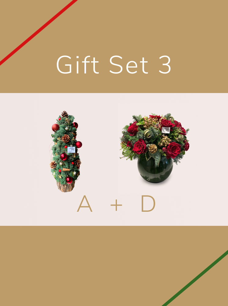 Christmas Gift - Set 3