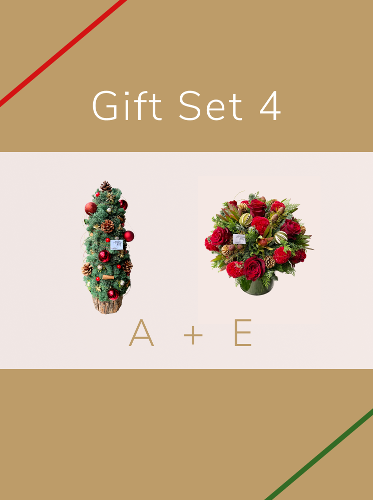 Christmas Gift - Set 4