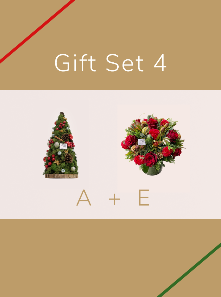 Christmas Gift - Set 4
