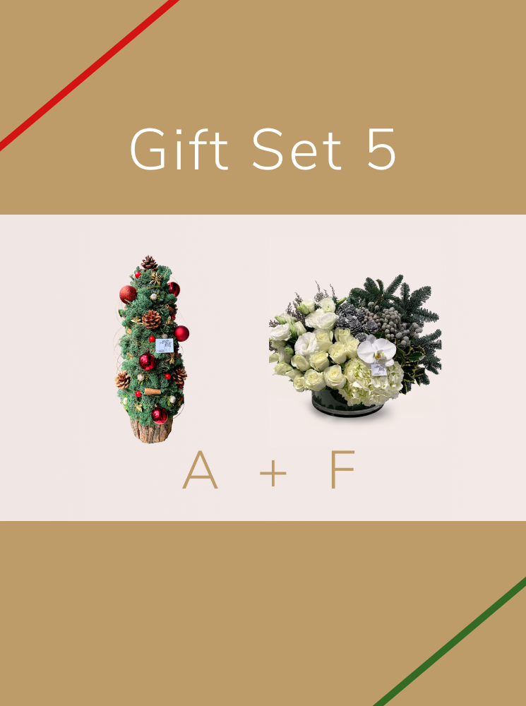 Christmas Gift - Set 5