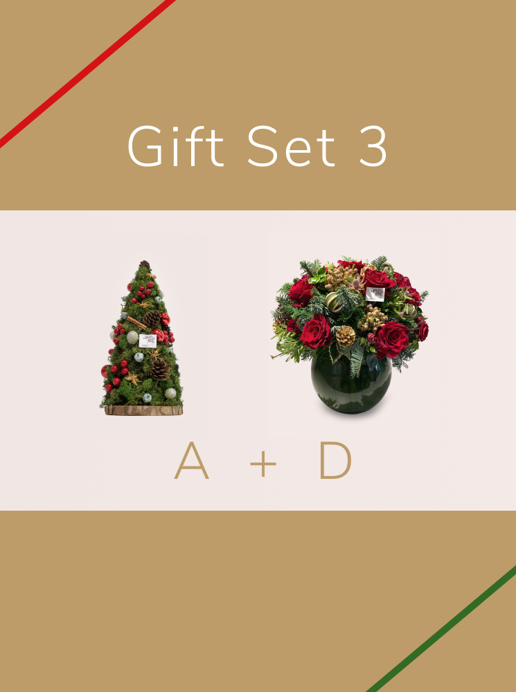 Christmas Gift - Set 3