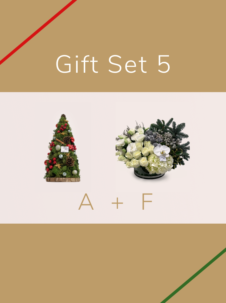 Christmas Gift - Set 5